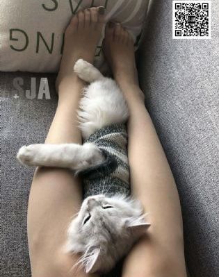 久久精品国产99久久香蕉_高清视频在线观看