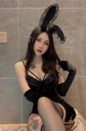 国产手机品牌各个特点_DVD在线视频播放
